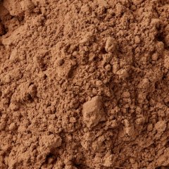 Какао-порошок алкализованный обезжиренный 10-12% Россия 500 г 