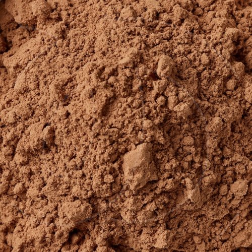 Какао-порошок алкализованный обезжиренный 10-12% Россия 500 г 