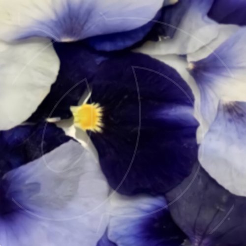 Лепестки виолы обезвоженной "Волшебный синий" 100 шт 